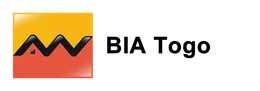 Logo BIA TOGO